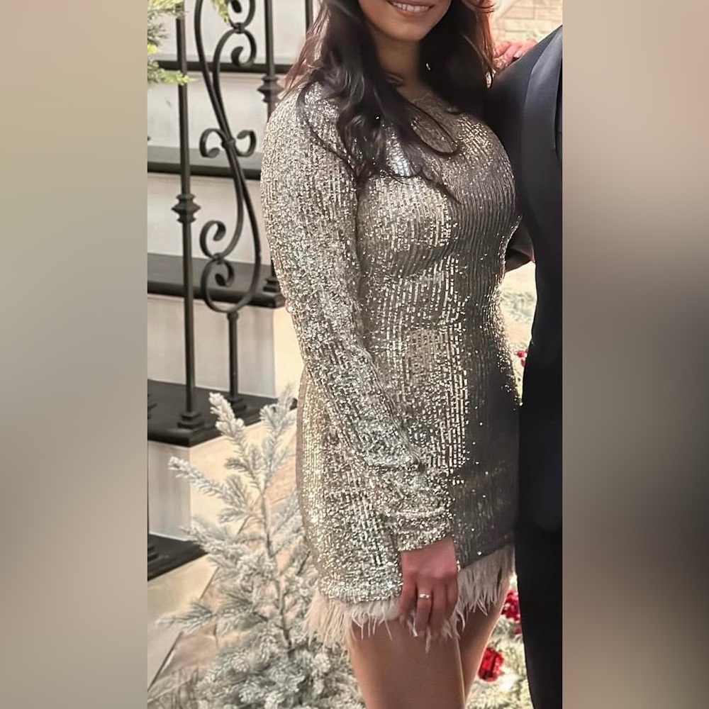 Elegant Silver Sequin Dress
